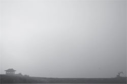 ������ ���⸶��