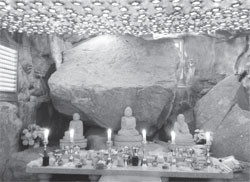 ������ �Ｚ�� ����