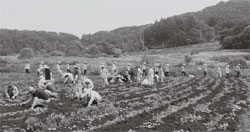 2013�� 7�� 10�� ���ڿ��