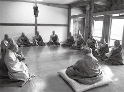 2013�� ���Ȱ� �ݻ긲